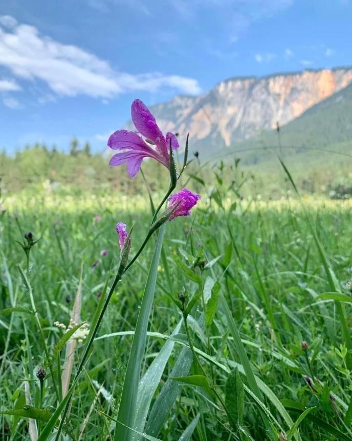 Ferienhaus Auszeit Natur Villach Bagian luar foto