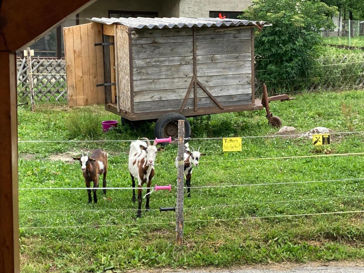Ferienhaus Auszeit Natur Villach Bagian luar foto